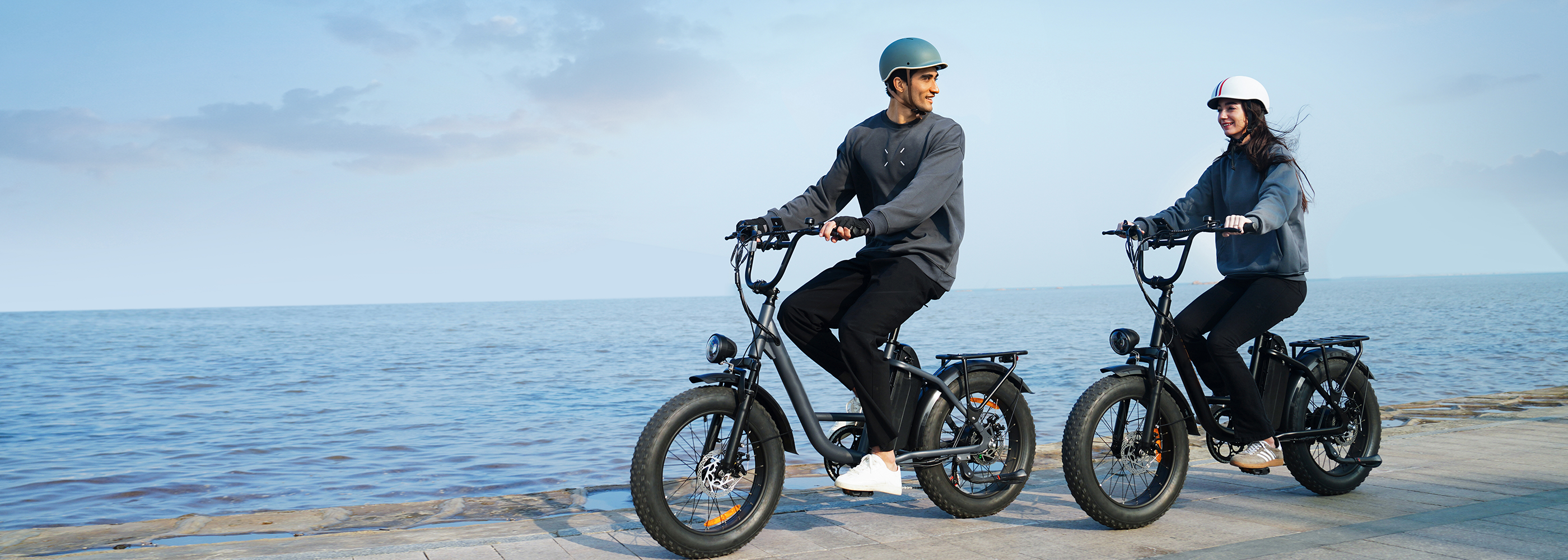E20Pro 20*4.0 Inch 48V 15.6Ah EBike
