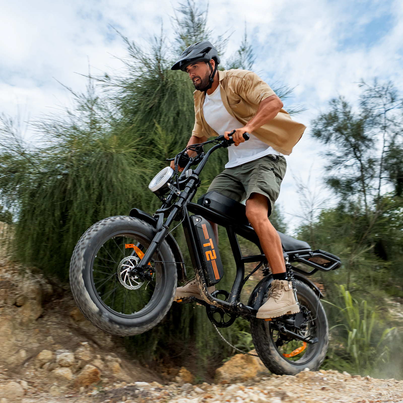 T2 20*4.0 Inch 48 V 15.6 Ah EBike