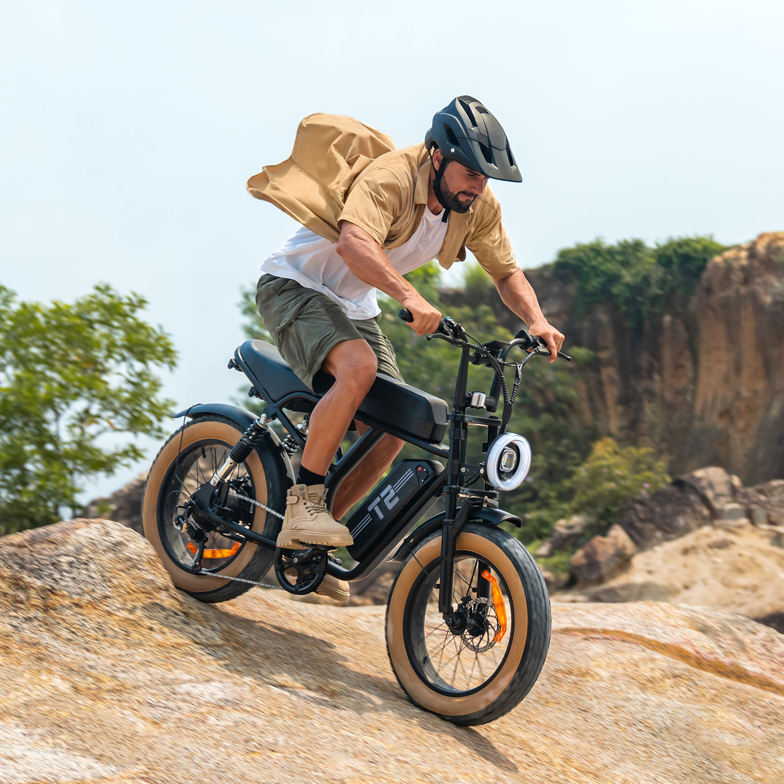 T2 20*4.0 Inch 48 V 15.6 Ah EBike